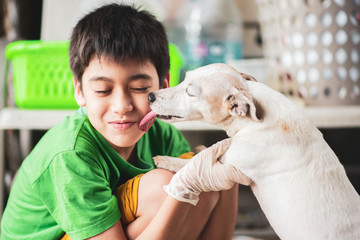 Little teen boy hugging and kissing old dog jack russel with love