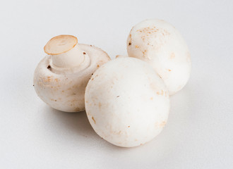 White mushroom isolated on white background
