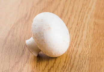 White mushroom isolated on wooden background