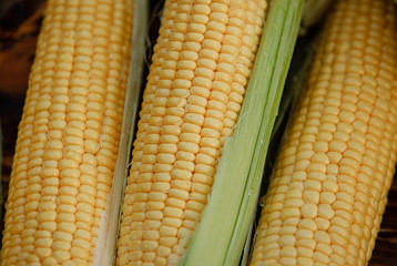 Close up corn on the cob.