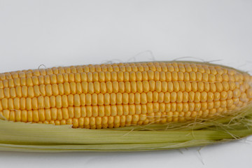 One corn on cob isolated, on white background.