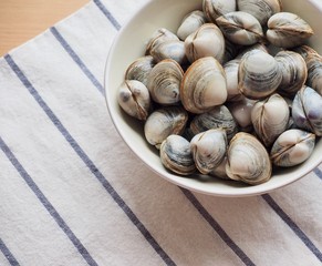 신선한 바다 자영식품 조개
