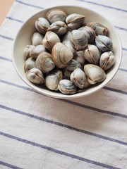 신선한 바다 자영식품 조개
