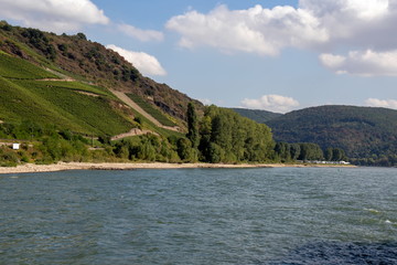 am Rhein
