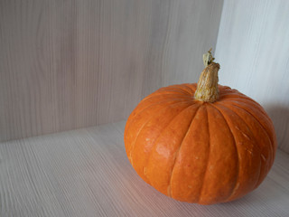 Pumpkin for your Halloween ideas