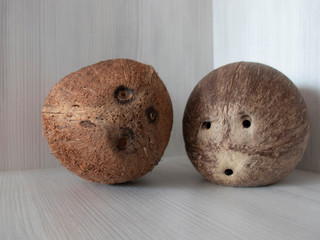 
Two coconuts have an interesting dialogue