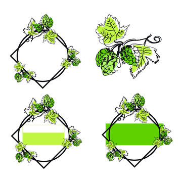 Etiquette logo biere houblon