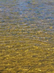 ripples in the water