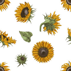 Hand drawn seamless pattern with sunflowers