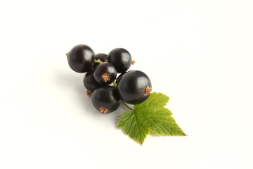 Fresh isolated berries. Black currants on white background