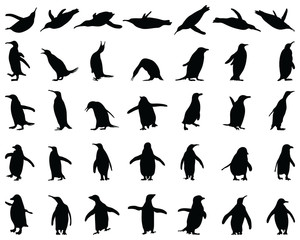 Black silhouettes of penguins on a white background - obrazy, fototapety, plakaty