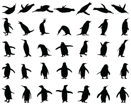 Black silhouettes of penguins on a white background