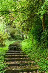 The forest stone stairs path passes through the forest in Zhushan Nantou, Taiwan.