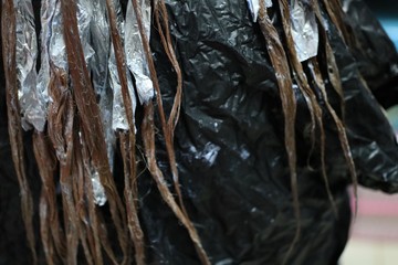 close up of a tree trunk