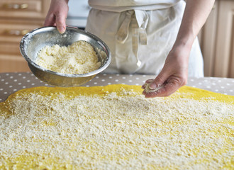 female hands sprinkle flour on the dough