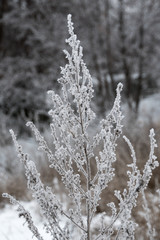 Winter landscape images of the Usa river near the village of Shigony