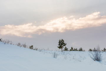 Landscape winter images in the area of the village of Shigony