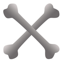 Skeleton Happy Halloween on white background , illustration concept