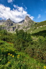 Beautiful mountains landscape during summer