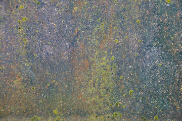 The surface of the old metal sheet with rust and lichen