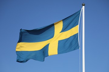 swedish Flag