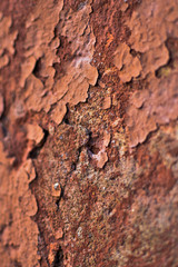 texture, cracks in the coating, vintage background