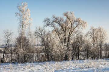 Landscape images of winter nature in the area of the Volzhsky Utes sanatorium