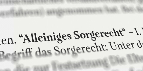 Alleiniges Sorgerecht im Buch