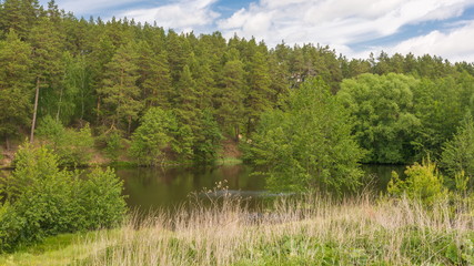 Landscape pictures taken in the reserve Mlocinski oak