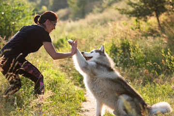 Pretty woman doing give paw trick with alaskan malamute on nature