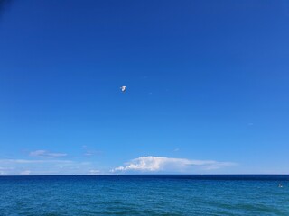 Mare