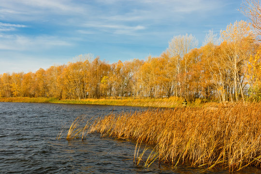 Landscape images of autumn nature near the village of Shigony