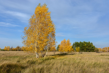 Landscape images of autumn nature near the village of Shigony