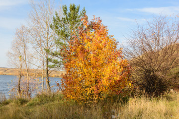 Landscape images of autumn nature near the village of Shigony