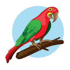 vector bird illustration. Red parrot on a branch. exotic macaw