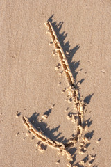 J - Alphabet letter written on sand