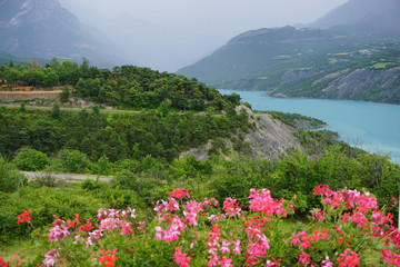storm coming on the lake of serre ponçon in the mountains of the french alps with pink geraniums