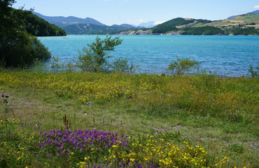 alpine meadow with flowers and lake of serre ponçon, france