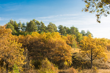 Landscape images of late autumn in Syzran district of Samara region