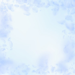 Fototapeta na wymiar Light blue flower petals falling down. Excellent r