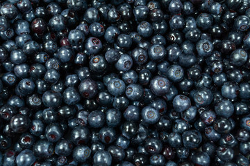 fresh blueberries closeup
