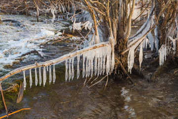 Ice growths due to a strong night frost on the banks of the Usa river