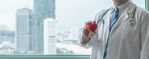 Cardiovascular disease doctor or cardiologist holding red heart in clinic or hospital exam room office for csr professional medical service, cardiology health care and world heart health day concept