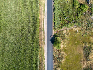 Road through the cornfield, aerial view.