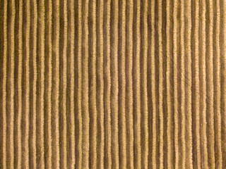 Aerial drone view. Wheat field in Ukraine.