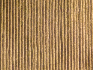 Aerial drone view. Wheat field in Ukraine.