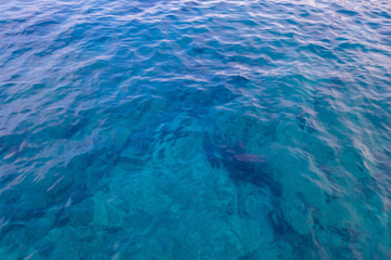View onto surface of sea near coastline. Some stones seen through depth of water