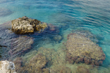 Some reefs above &  under water surface. There are calm water, small fishes, water weeds & shells. Typical view for Mediterranean coastline, untouched by human hand