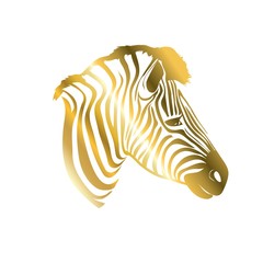 Zebra in black and white stripes. Vector illustration