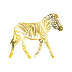 Zebra in black and white stripes. Vector illustration